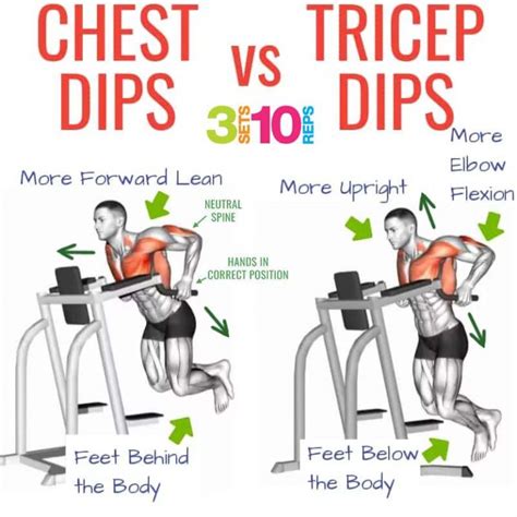 chest dp|chest dips exercise.